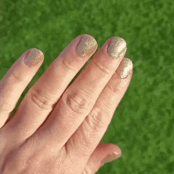 Champagne - Classic Nail Powder - Pre Order