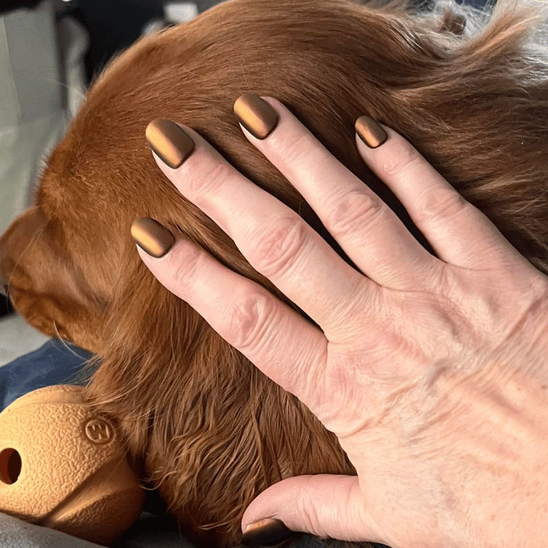 Maroon - Shade Shift Metallic Nail Powder